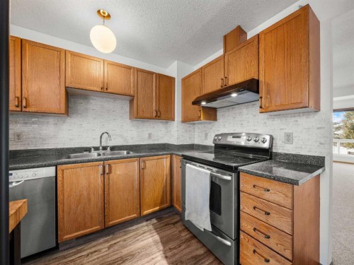 10 Martinbrook Road Ne, Calgary, AB - Indoor Photo Showing Kitchen With Double Sink