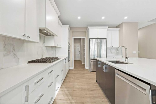 164 Wolf River Drive Se, Calgary, AB - Indoor Photo Showing Kitchen With Stainless Steel Kitchen With Double Sink With Upgraded Kitchen