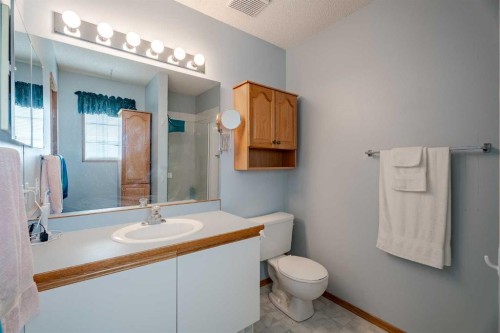 82 Martinridge Crescent Ne, Calgary, AB - Indoor Photo Showing Bathroom
