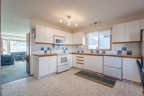 82 Martinridge Crescent Ne, Calgary, AB - Indoor Photo Showing Kitchen