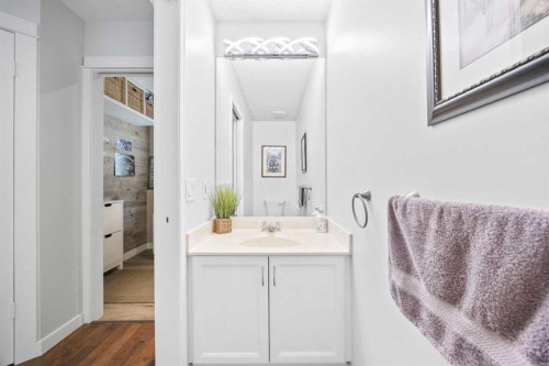 73 Riverview Close Se, Calgary, AB - Indoor Photo Showing Bathroom