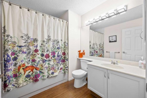 73 Riverview Close Se, Calgary, AB - Indoor Photo Showing Bathroom