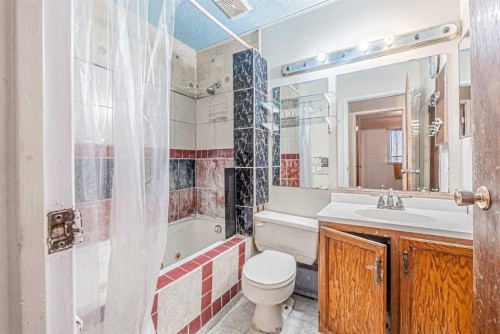 171 Castlebrook Rise Ne, Calgary, AB - Indoor Photo Showing Bathroom