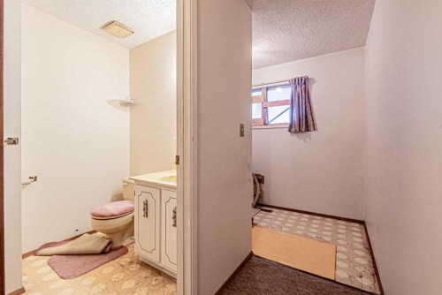 171 Castlebrook Rise Ne, Calgary, AB - Indoor Photo Showing Bathroom