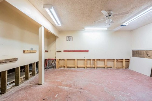 171 Castlebrook Rise Ne, Calgary, AB - Indoor Photo Showing Basement