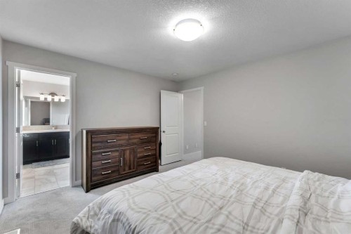 39 Savanna Way Ne, Calgary, AB - Indoor Photo Showing Bedroom
