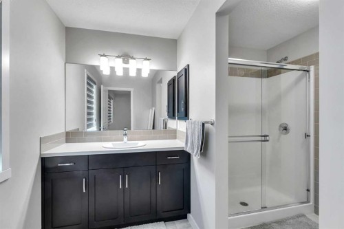 39 Savanna Way Ne, Calgary, AB - Indoor Photo Showing Bathroom