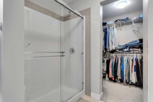39 Savanna Way Ne, Calgary, AB - Indoor With Storage