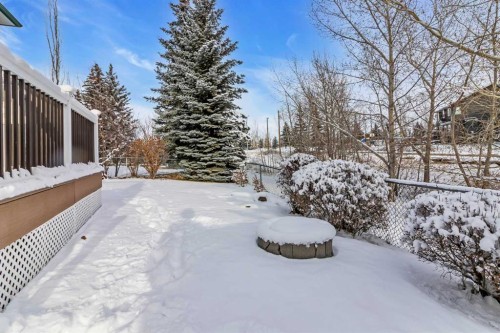 155 Lakeview Cove, Chestermere, AB - Outdoor