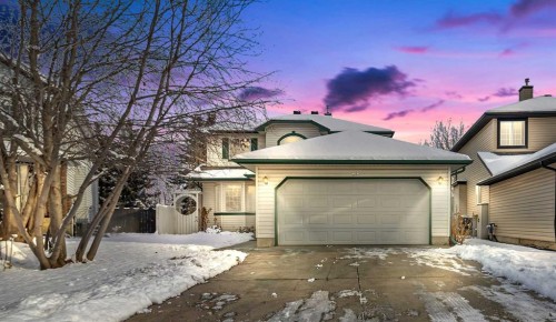155 Lakeview Cove, Chestermere, AB - Outdoor