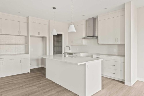 268 Calhoun Crescent Ne, Calgary, AB - Indoor Photo Showing Kitchen With Upgraded Kitchen