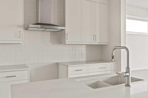 268 Calhoun Crescent Ne, Calgary, AB - Indoor Photo Showing Kitchen With Double Sink