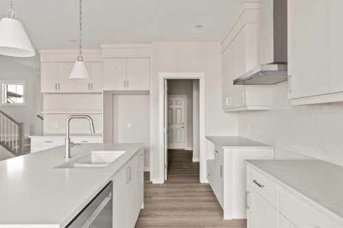 268 Calhoun Crescent Ne, Calgary, AB - Indoor Photo Showing Kitchen With Upgraded Kitchen