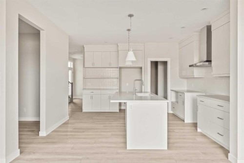 268 Calhoun Crescent Ne, Calgary, AB - Indoor Photo Showing Kitchen With Upgraded Kitchen