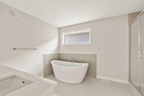 268 Calhoun Crescent Ne, Calgary, AB - Indoor Photo Showing Bathroom