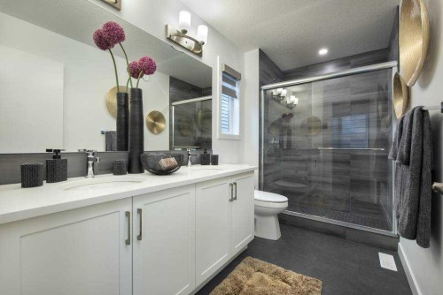 103 Wolf Hollow Rise Se, Calgary, AB - Indoor Photo Showing Bathroom