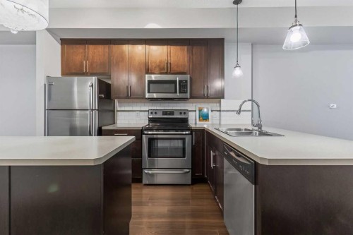 43 Redstone Circle Ne, Calgary, AB - Indoor Photo Showing Kitchen With Double Sink