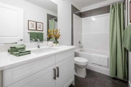83 Saddlebred Place, Cochrane, AB - Indoor Photo Showing Bathroom
