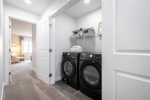 83 Saddlebred Place, Cochrane, AB - Indoor Photo Showing Laundry Room