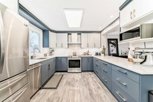 343 Deer Side Place Se, Calgary, AB - Indoor Photo Showing Kitchen With Upgraded Kitchen