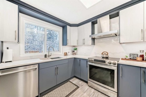 343 Deer Side Place Se, Calgary, AB - Indoor Photo Showing Kitchen With Upgraded Kitchen