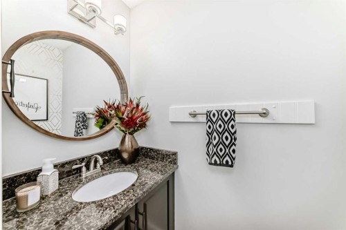 343 Deer Side Place Se, Calgary, AB - Indoor Photo Showing Bathroom