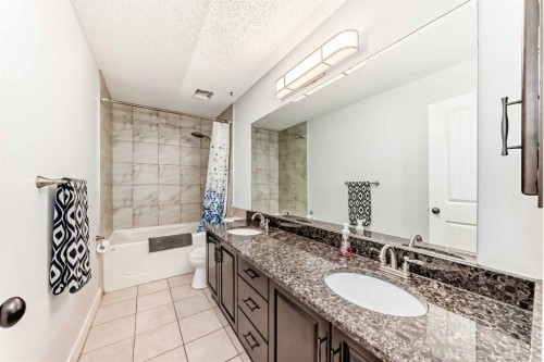 343 Deer Side Place Se, Calgary, AB - Indoor Photo Showing Bathroom