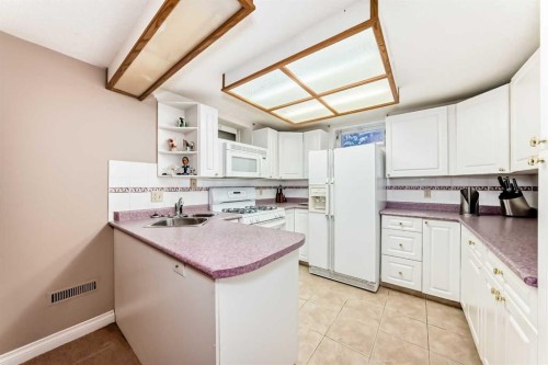 343 Deer Side Place Se, Calgary, AB - Indoor Photo Showing Kitchen With Double Sink