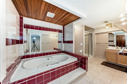 343 Deer Side Place Se, Calgary, AB - Indoor Photo Showing Bathroom