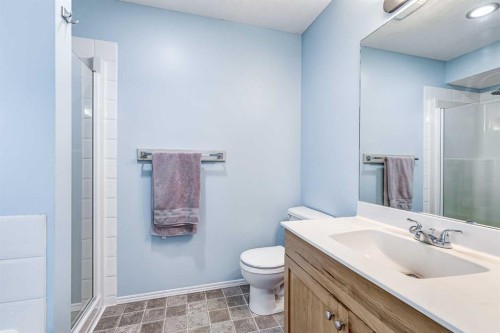 94 New Brighton Circle Se, Calgary, AB - Indoor Photo Showing Bathroom