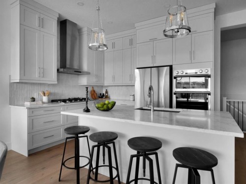 27 Royal Birch Cove Nw, Calgary, AB - Indoor Photo Showing Kitchen With Upgraded Kitchen
