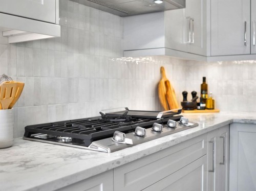 27 Royal Birch Cove Nw, Calgary, AB - Indoor Photo Showing Kitchen With Upgraded Kitchen