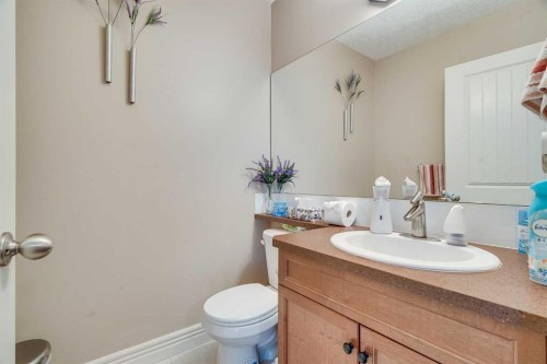3 Royal Oak Plaza Nw, Calgary, AB - Indoor Photo Showing Bathroom