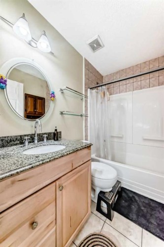31 Castleglen Crescent Ne, Calgary, AB - Indoor Photo Showing Bathroom
