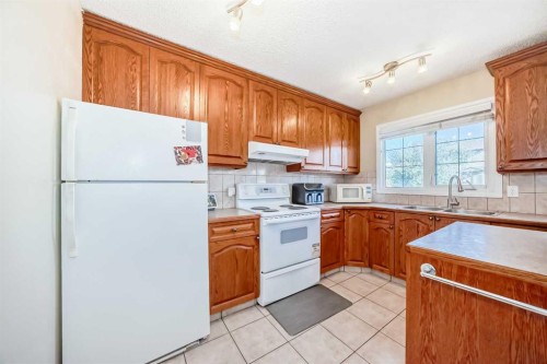 31 Castleglen Crescent Ne, Calgary, AB - Indoor Photo Showing Kitchen With Double Sink