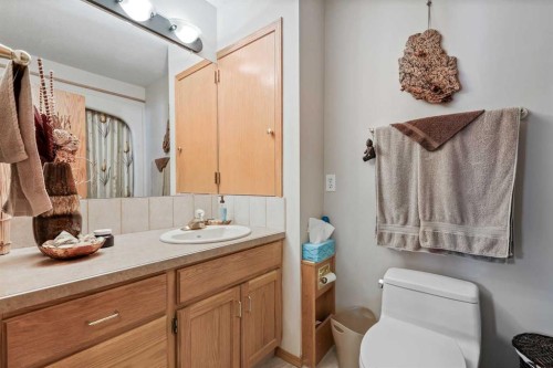 40 Green Meadow Drive, Strathmore, AB - Indoor Photo Showing Bathroom