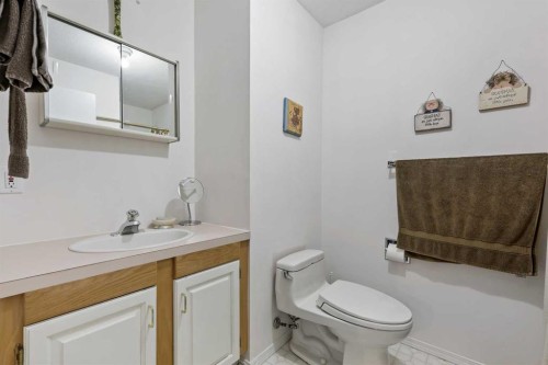 40 Green Meadow Drive, Strathmore, AB - Indoor Photo Showing Bathroom
