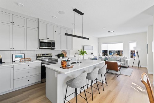 149 Lewiston Street Ne, Calgary, AB - Indoor Photo Showing Kitchen With Upgraded Kitchen