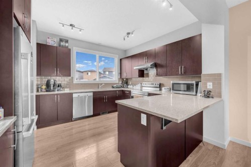 392 Cornerstone Passage Ne, Calgary, AB - Indoor Photo Showing Kitchen With Upgraded Kitchen