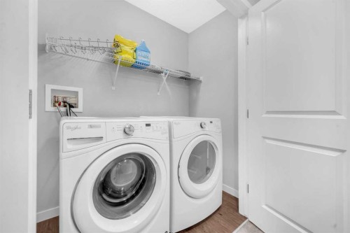 392 Cornerstone Passage Ne, Calgary, AB - Indoor Photo Showing Laundry Room