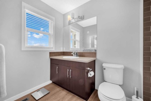 392 Cornerstone Passage Ne, Calgary, AB - Indoor Photo Showing Bathroom