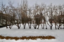 660 1 Avenue  Irricana, AB T0M 1B0