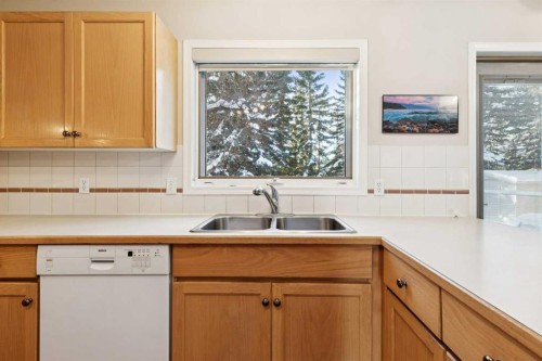 201-132 Straddock Crescent Sw, Calgary, AB - Indoor Photo Showing Kitchen With Double Sink