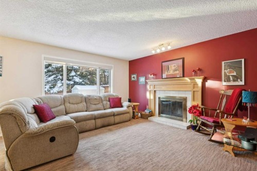 201-132 Straddock Crescent Sw, Calgary, AB - Indoor Photo Showing Living Room With Fireplace