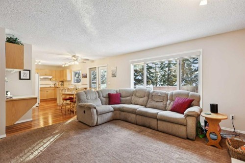 201-132 Straddock Crescent Sw, Calgary, AB - Indoor Photo Showing Living Room