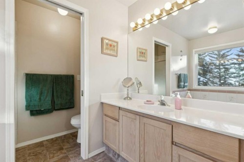 201-132 Straddock Crescent Sw, Calgary, AB - Indoor Photo Showing Bathroom