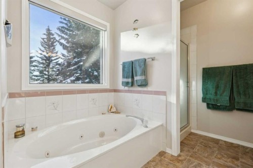 201-132 Straddock Crescent Sw, Calgary, AB - Indoor Photo Showing Bathroom