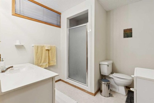 201-132 Straddock Crescent Sw, Calgary, AB - Indoor Photo Showing Bathroom