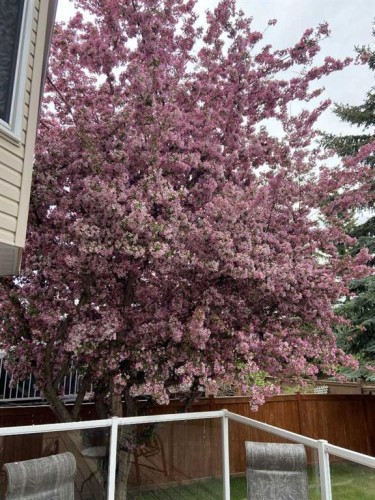 201-132 Straddock Crescent Sw, Calgary, AB - Outdoor