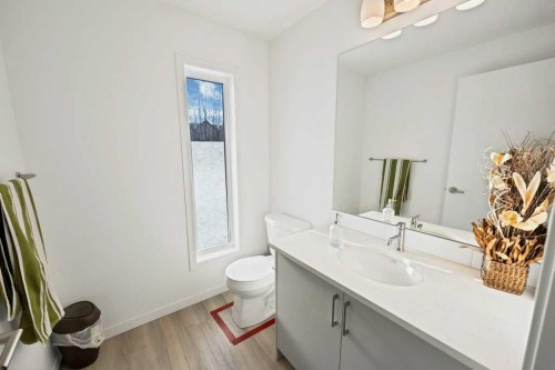 117 South Point Sw, Airdrie, AB - Indoor Photo Showing Bathroom